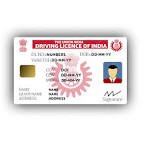 Driving Licence Download